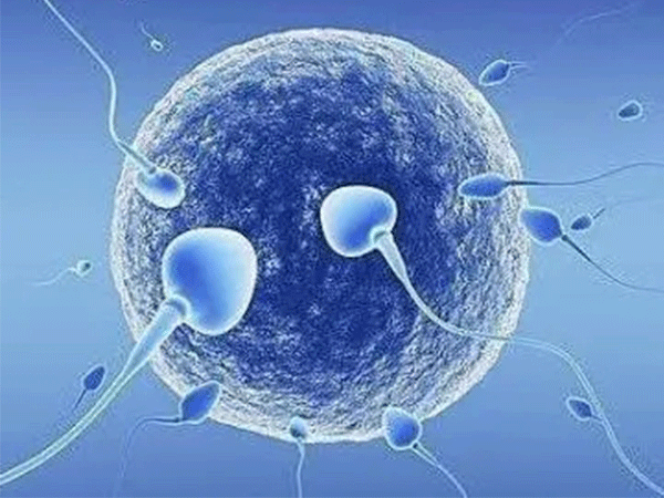 胸腔积液可能与炎症反应有关