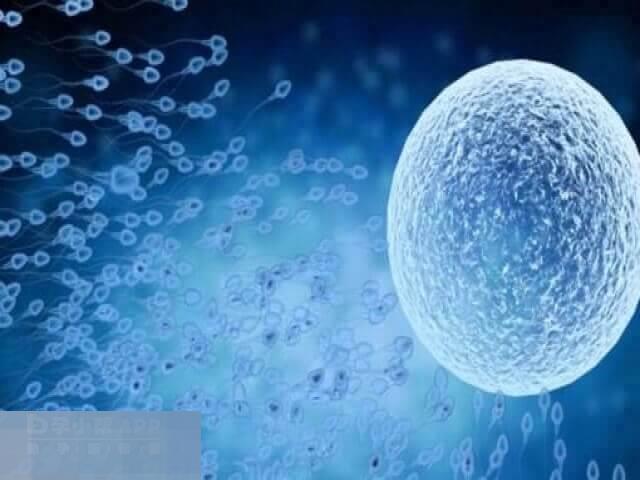 促排卵是做试管婴儿的流程之一