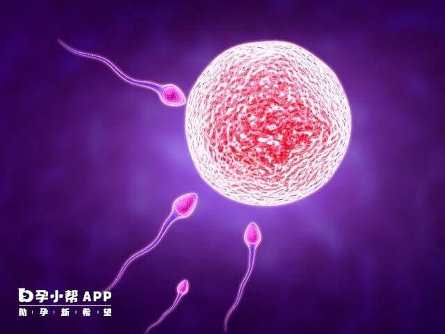 试管一方无法提供基因也算是亲生的