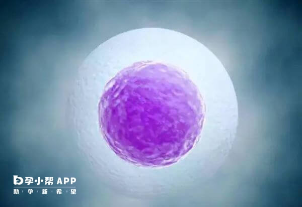 年龄越大卵子质量越差