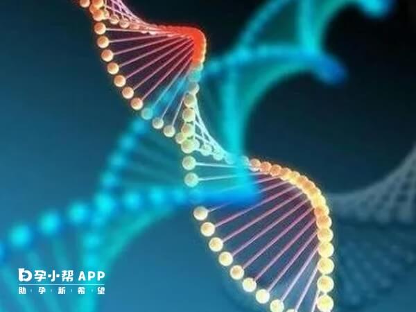 遗传咖啡斑可以通过试管筛查健康胚胎移植