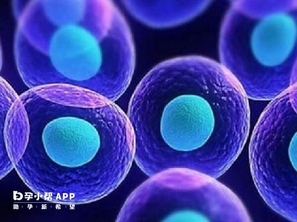 符合条件按规定给予住院分娩补助