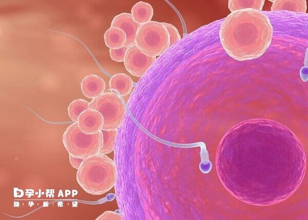 移植后出血有六大原因