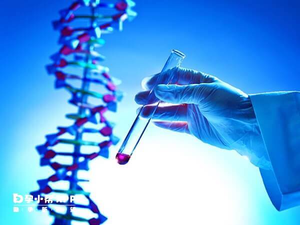 美诺孕可用于试管婴儿助孕过程中