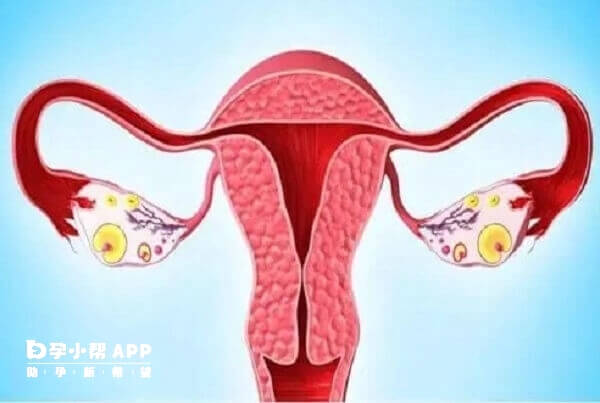 贺美奇促排卵泡变少是卵巢功能不好引起