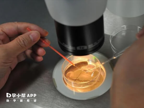 优胚养囊可能会失败