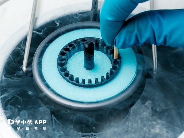 单身女性禁止在国内冻卵