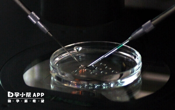 hiv洗精术与传统的区别