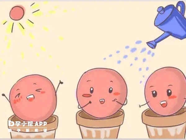 服用克罗米芬后卵泡就开始生长了