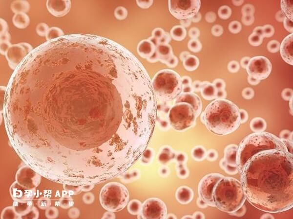 试管长方案的取卵数量因个体差异而异