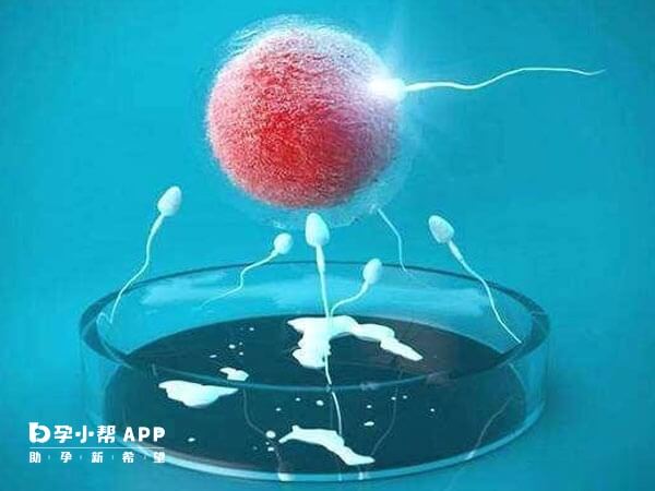 试管孩子寿命与正常人基本相同