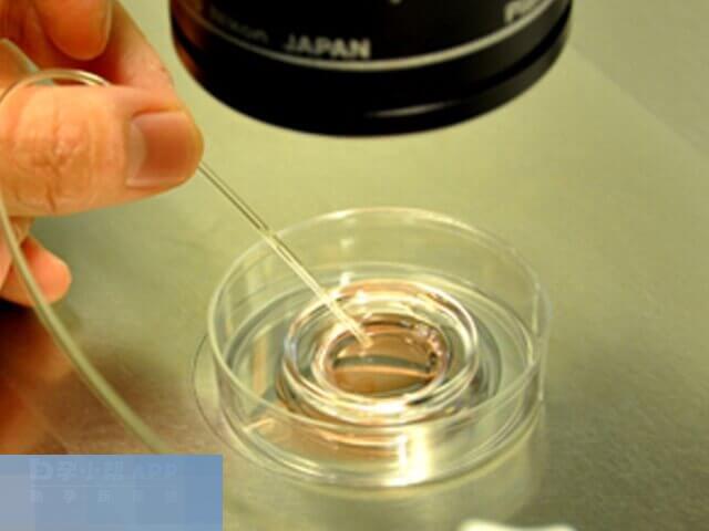 培养囊胚就像马拉松 要扛过5-7天