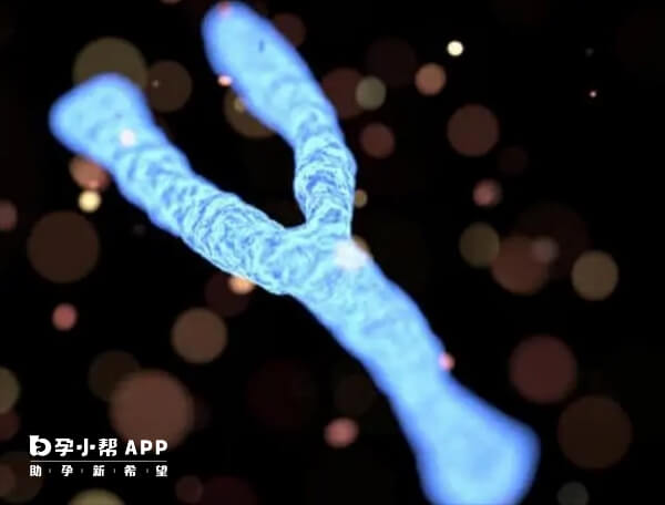 y染色体azfc缺失就是一种染色体异常的问题
