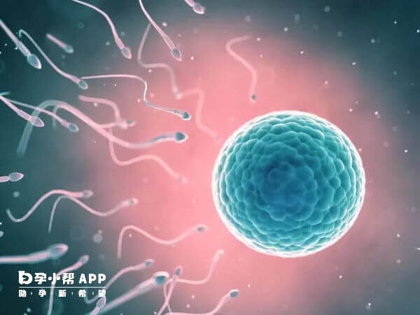 6c3养囊成功的几率是很小的