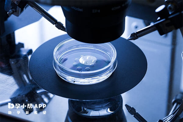 去格鲁吉亚的都是小中介