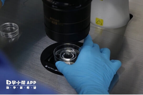 移植后14天就能检测怀孕