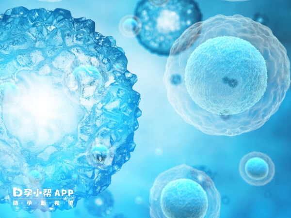 试管婴儿技术本身并不会直接导致自闭症