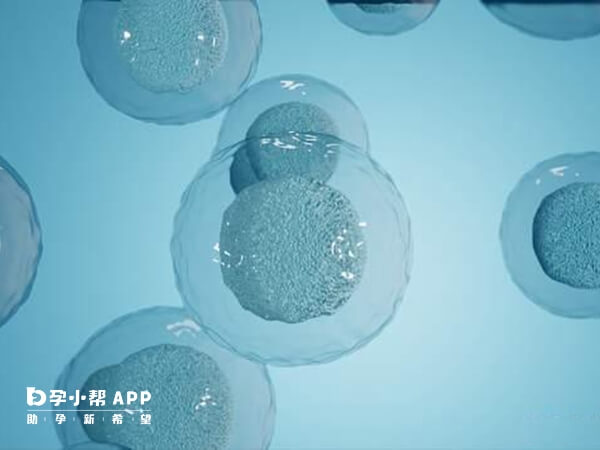 试管婴儿中的COS方案是指控制性卵巢刺激