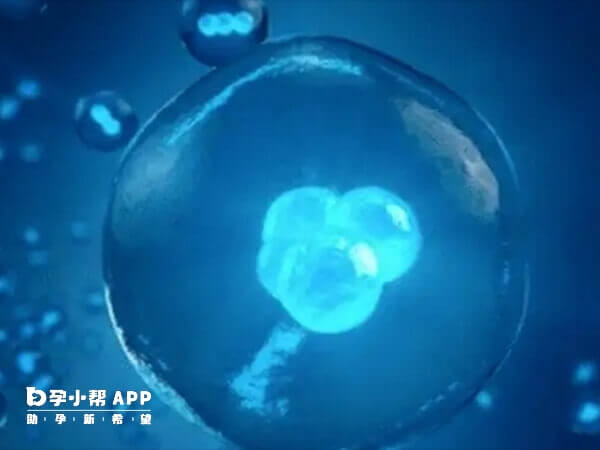 试管婴儿与自然受孕婴儿只区别于受孕方式