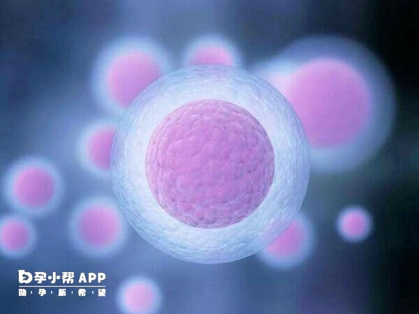 四代试管技术能解决卵子老化的问题