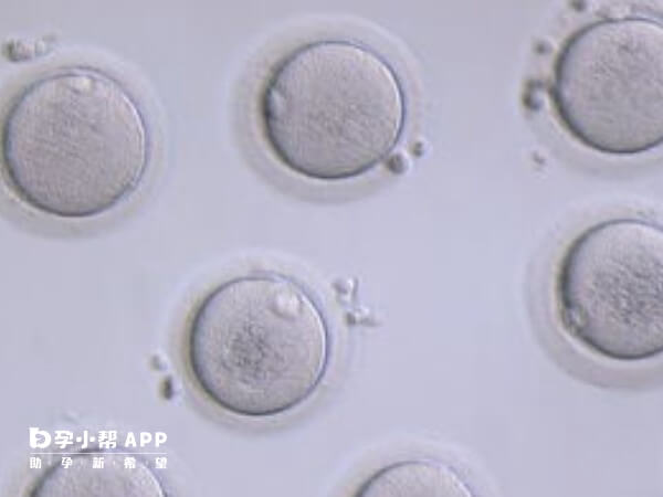 未婚女性人工授精医疗费用大概在2万元