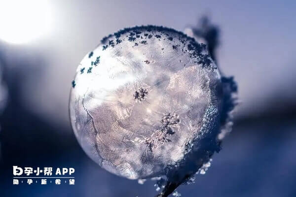 合肥冻卵费用需要三万