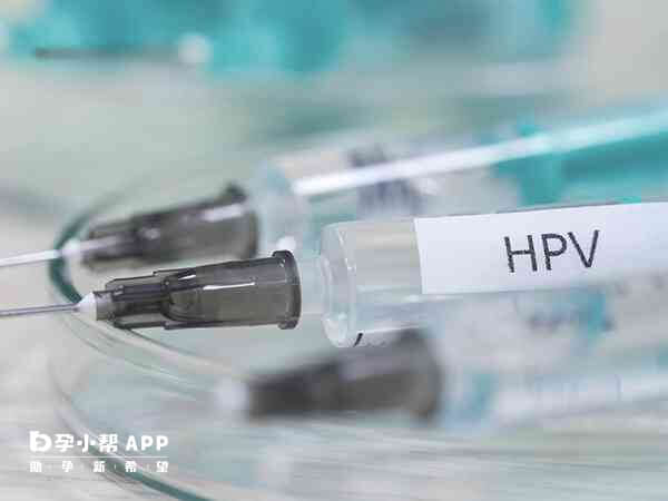 HPV11属于人乳头瘤病毒的低危型