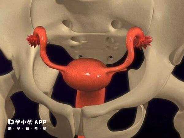 单角子宫的宫腔容积较小