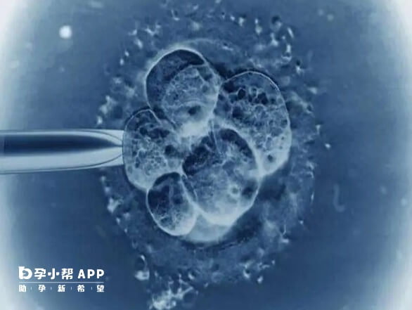 子宫内膜是一个非常关键的因素