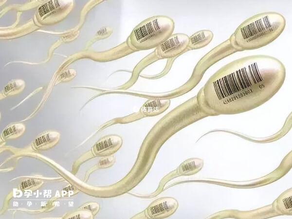 女方年龄在49周岁以下可再生育