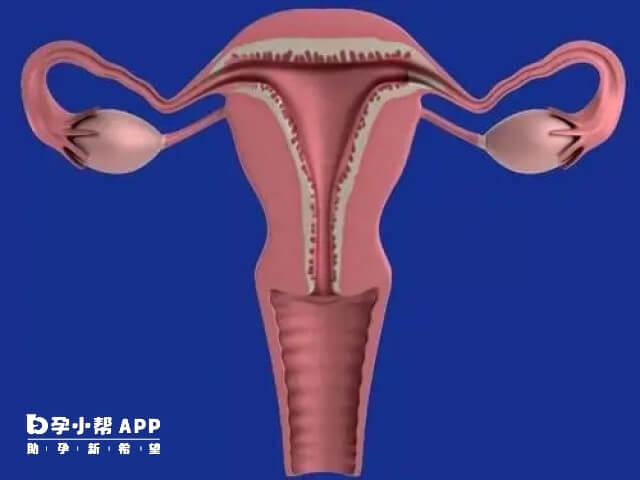 内膜三线不明显的原因有很多