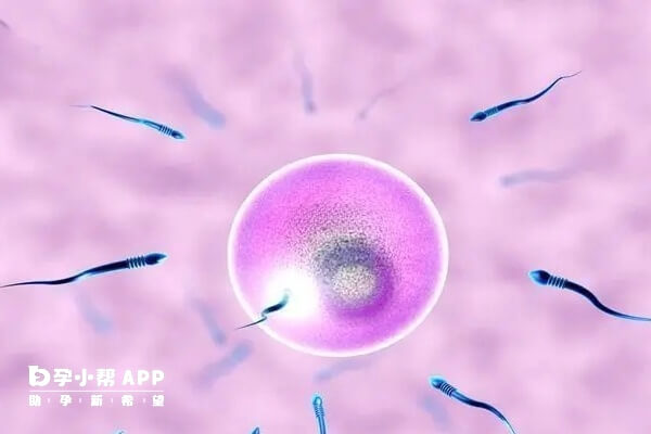 试管婴儿有严格的操作规范与核对机制