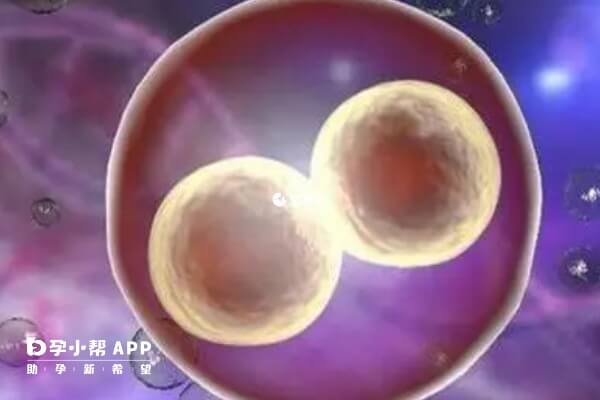 试管短方案对身体的危害通常在可控范围内