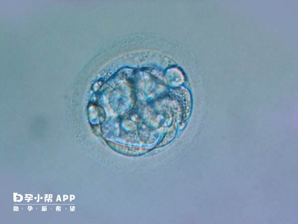 试管胎停后第二次移植可能会受到一定影响