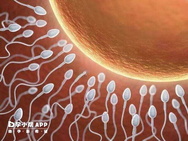 做羊水穿刺能够看胎儿是否有染色体异常