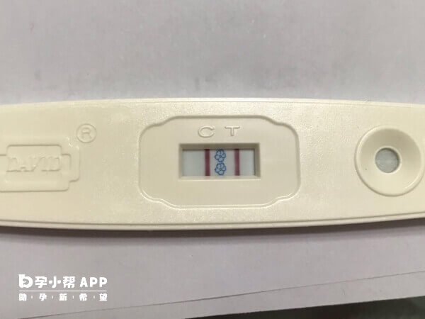 验孕棒测出双杠可能是怀孕了