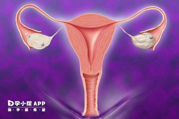 AMH的正常值一般是介于2-6.8ng/ml之间