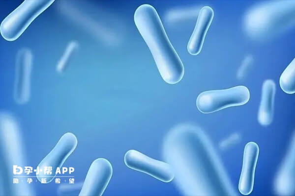 适当的服用益生菌可刺激肠道免疫系统