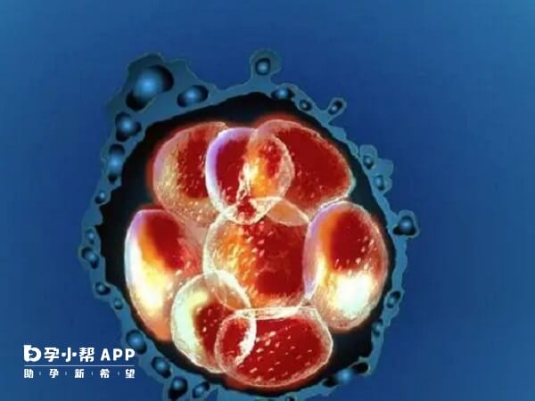 试管婴儿和自然受孕的孩子只区别是受精方式