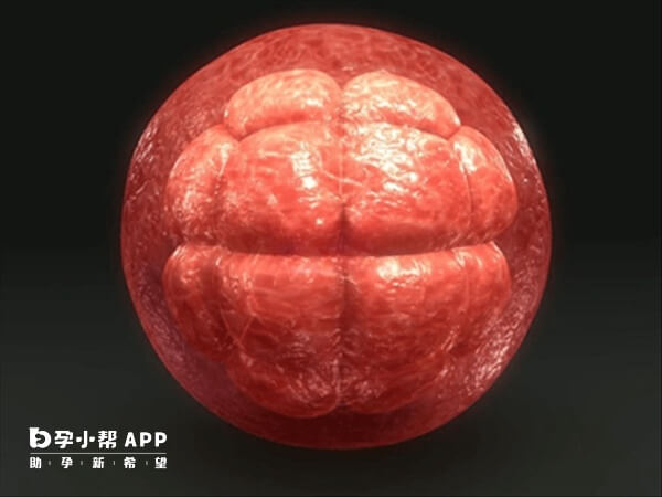 世界第一例试管婴儿是路易斯·布朗