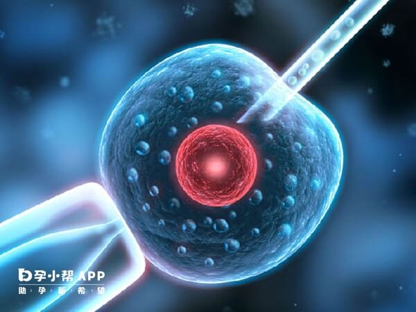 取卵手术可能收费2000-3000元