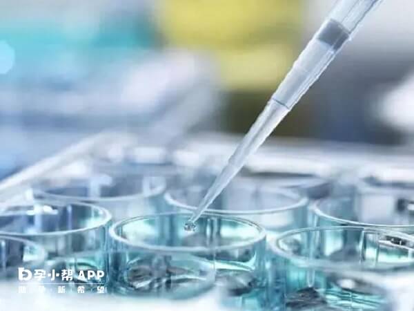 卵泡直径在18-25mm时是打夜针的常见范围