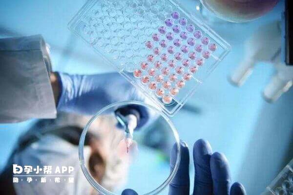 三代试管可通过胚胎染色体筛查判断性别