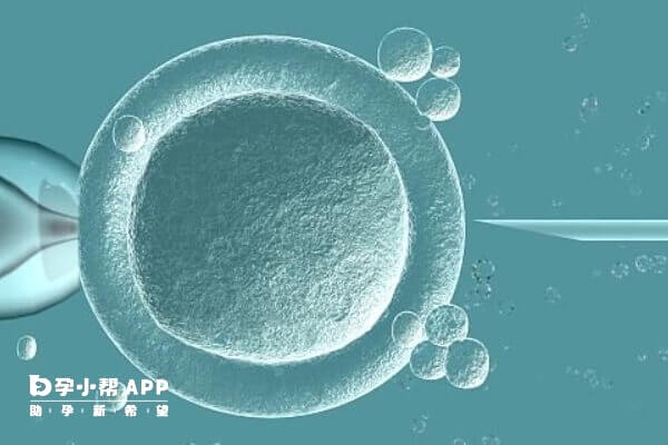 试管婴儿成功率受多方面因素影响