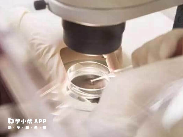 三代试管婴儿胚胎移植数量因人而异