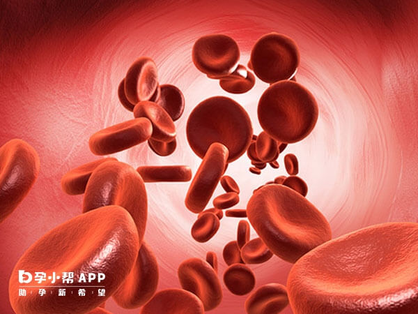雌性激素升高可能使血液呈高凝状态