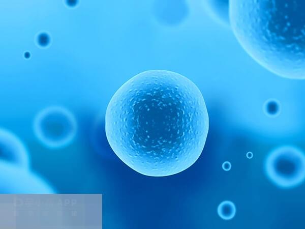 国内可以实施试管婴儿助孕的机构很多