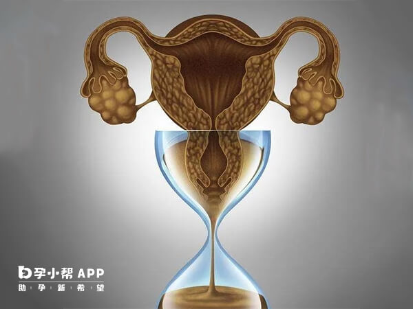 阴超是目前监测卵泡的常用且有效的方法