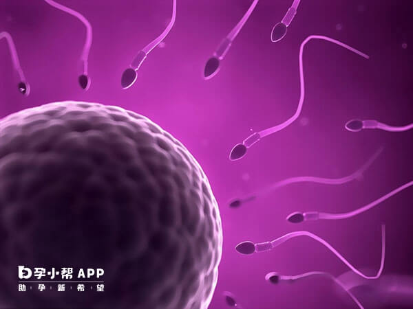 同卵双胞胎和同卵双生又称单卵双胞胎