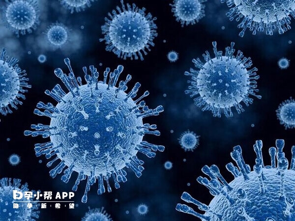 备孕前的检查通常建议提前三个月